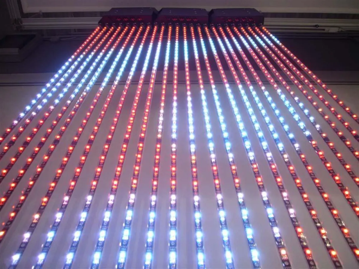 Für fantastische Licht- und Farbeffekte bestens geeignet: tennagels curveLED Curtain.