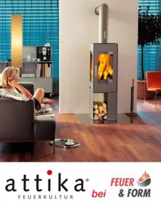 Bild: Jetzt schnell noch Tausend Euro mitnehmen - Staatl Förderung für Pelletöfen ab dem 01. 07. 09 geändert