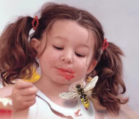 Bild: Hochsaison für Wespen und Allergien - Kinder sind durch Wespen besonders gefährdet.
