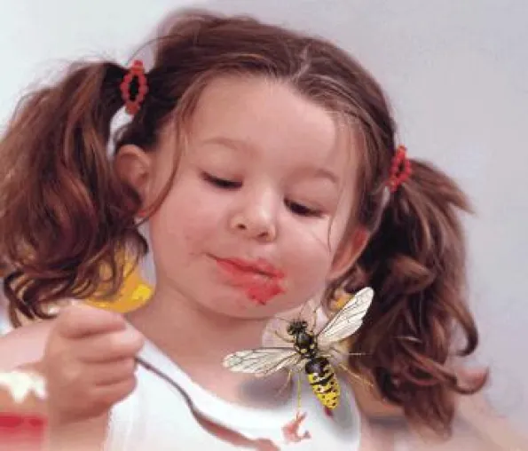 Bild: Hochsaison für Wespen und Allergien - Kinder sind durch Wespen besonders gefährdet.