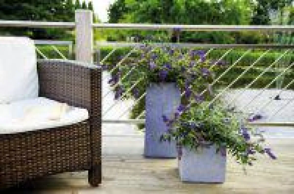 Sommerflieder Summer Lounge® blau mit Balkonsessel