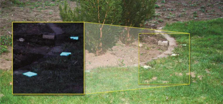 Bild: Sommerhit 2012 für den heimischen Garten: Der nachts leuchtende Pflasterstein von NighTec®