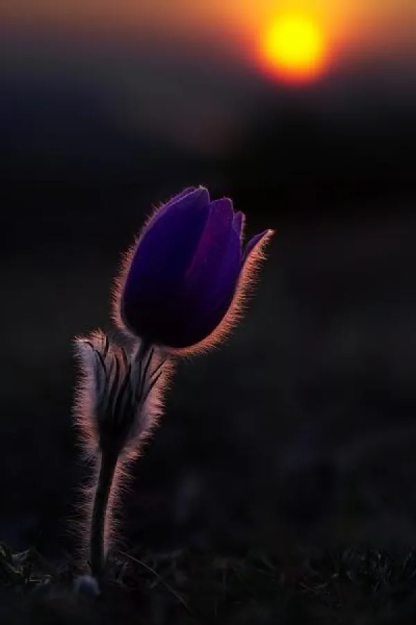 quantenheilung,lebenscoach,mentalcoach