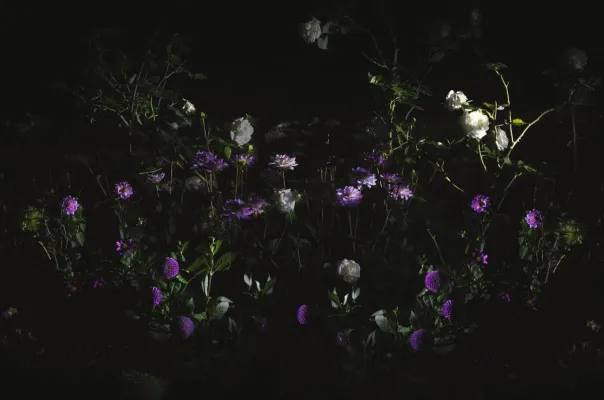 CasaGalleria MonteGeneroso auf der Kunstmesse Art International Zurich 2021 Bild: CasaGalleria MonteGeneroso auf der Kunstmesse Art International Zurich 2021