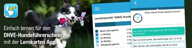 mobivention Lernkarten App jetzt auch mit DHVE Hundeführerschein Bild: mobivention Lernkarten App jetzt auch mit DHVE Hundeführerschein