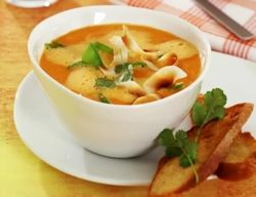 Möhren-Kokos-Suppe verfeinert mit Provamel Bio Soja Cuisine