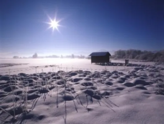 Bild: Stille am Bayerischen Meer - Winterzeit in Prien am Chiemsee