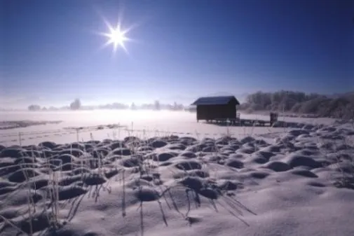 Bild: Stille am Bayerischen Meer - Winterzeit in Prien am Chiemsee