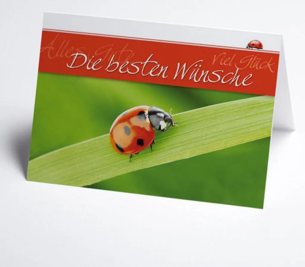 Gestaltung einer Grußkarte