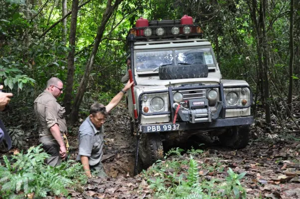 Bild: Vierrad-Abenteuer im Regenwald – Natur-Pur bei Auto-Safari durch Guyana
