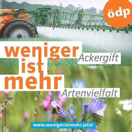 Bild: Klaus Buchner (MdEP) über Jugend, Klima und Europa
