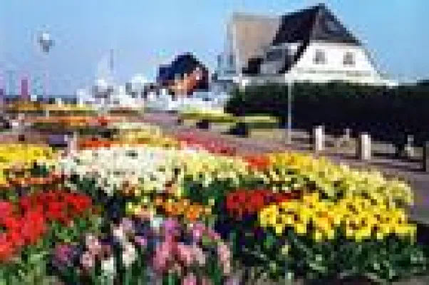 Bild: Sylts größtes Ferienwohnungsportal mit neuem Angebot: Effiziente Online-Buchungen für Hotels und Pensionen