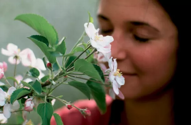 Frischekick für eine perfekte Frühjahrshaut - Apfelkosmetik aus Südtirol zum Selbermachen Bild: Frischekick für eine perfekte Frühjahrshaut - Apfelkosmetik aus Südtirol zum Selbermachen