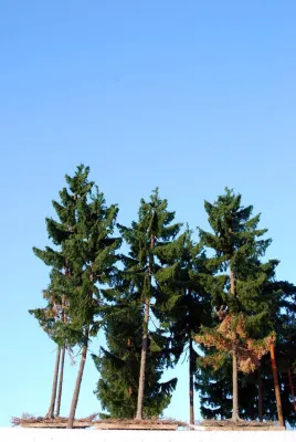 Bild: Kein Ende in Sicht: Die Welt für Feuergötter und Dampfdämonen wird größer