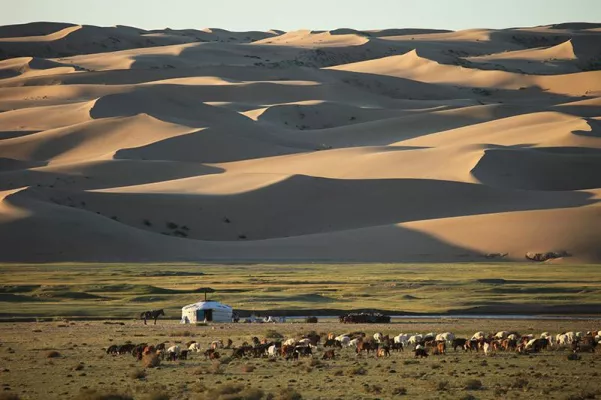 MONGOLEI - Unterwegs mit Kindern und Kamel Bild: MONGOLEI - Unterwegs mit Kindern und Kamel