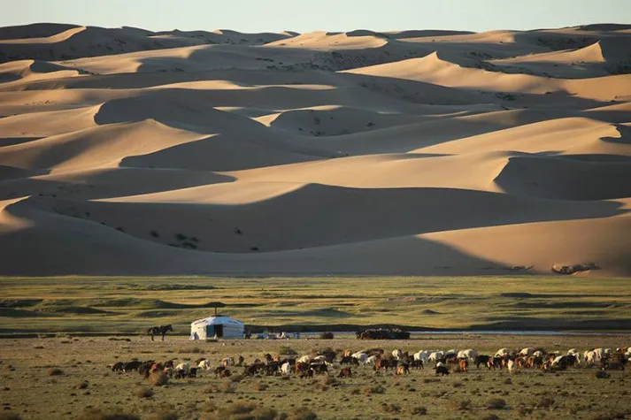 MONGOLEI - Unterwegs mit Kindern und Kamel Bild: MONGOLEI - Unterwegs mit Kindern und Kamel