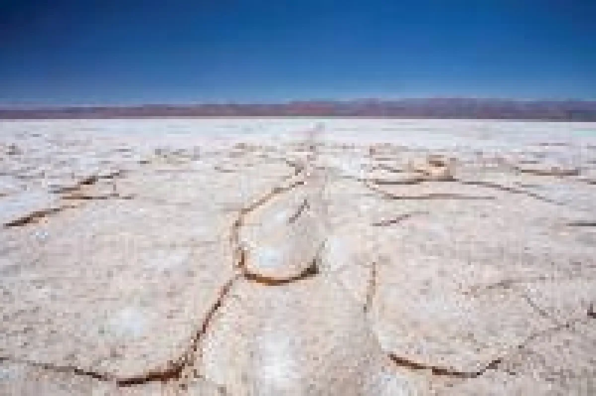 Auf dem Cauchari-Projekt; Foto: Advantage Lithium