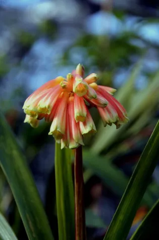 Bild: Neues Gartenforum geht online