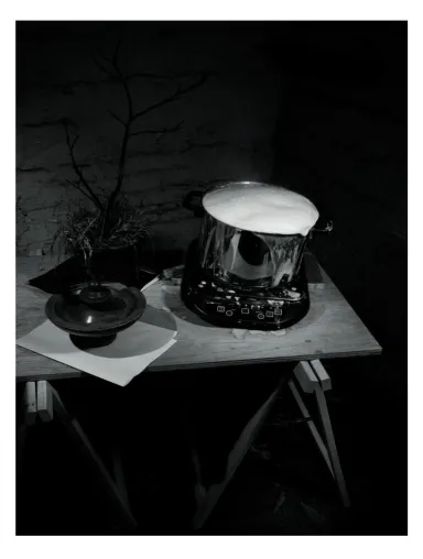 „Pangram‘s Kitchen“ Suche nach dem persönlichen Geschmack oder warum meine Erdbeere anders schmeckt als deine Bild: „Pangram‘s Kitchen“ Suche nach dem persönlichen Geschmack oder warum meine Erdbeere anders schmeckt als deine