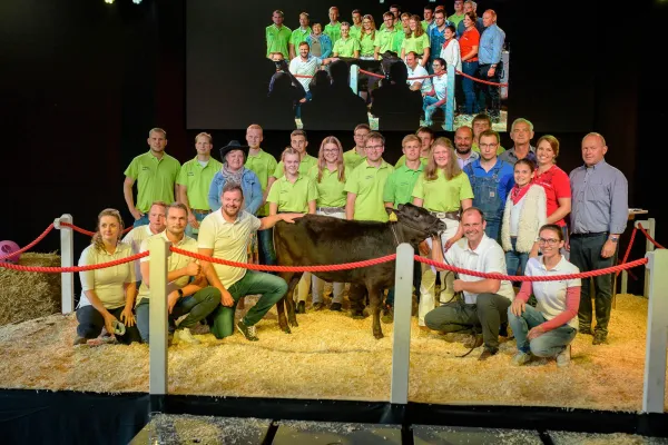 Bild: „Rekordpreis 41.000 Euro: Teuerste Wagyu Kuh Europas kommt aus Thüringen.“