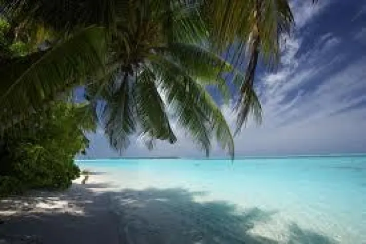 Bild: Ex-Frau von Berlusconi erhält 36 Millionen Euro