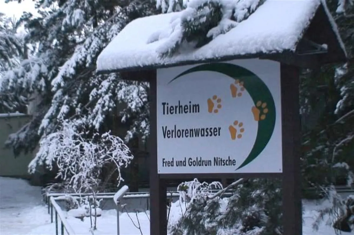 Tierheim Verlorenwasser im Schnee