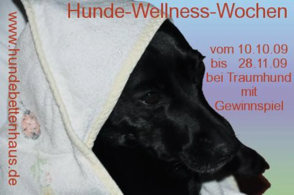 Hunde-Wellness-Wochen bei Bettenhaus Traumhund