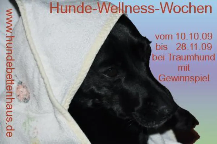 Bild: Hundebetten: Wellness-Wochen bei Bettenhaus Traumhund