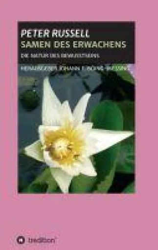 SAMEN DES ERWACHENS - Inspirierende Aufsatz-Sammlung für eine positive Lebensvision Bild: SAMEN DES ERWACHENS - Inspirierende Aufsatz-Sammlung für eine positive Lebensvision