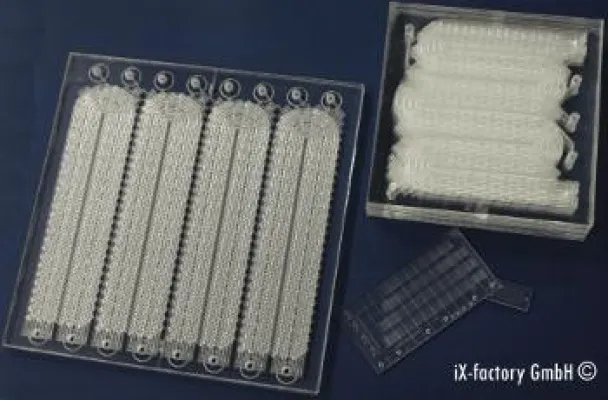 Bild: Analytica 2010 – Mikrofluidik „Made in Germany“ von iX-factory GmbH