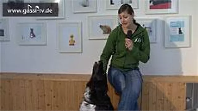 Bild: Speckweg für Hunde