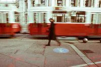 Bild: Straßenbahnen in Wien. Teil 1
