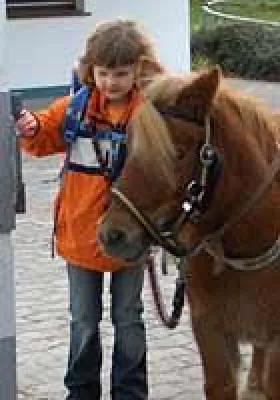 Versicherung für Gnadenbrotpferde - Damit die gute Tat keine bösen Folgen hat Bild: Versicherung für Gnadenbrotpferde - Damit die gute Tat keine bösen Folgen hat