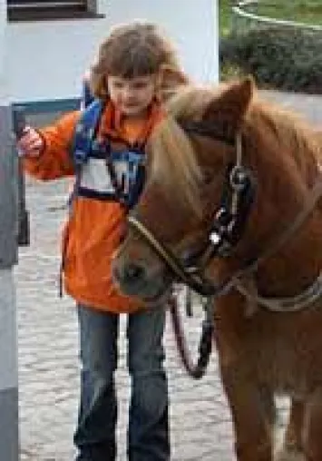 Versicherung für Gnadenbrotpferde - Damit die gute Tat keine bösen Folgen hat Bild: Versicherung für Gnadenbrotpferde - Damit die gute Tat keine bösen Folgen hat