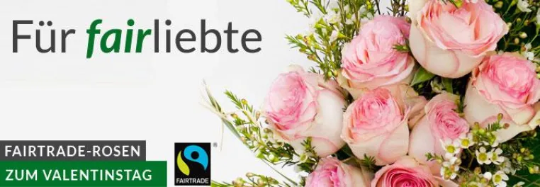 Bild: Fairtrade-Rosen zum Valentinstag – jetzt auch online