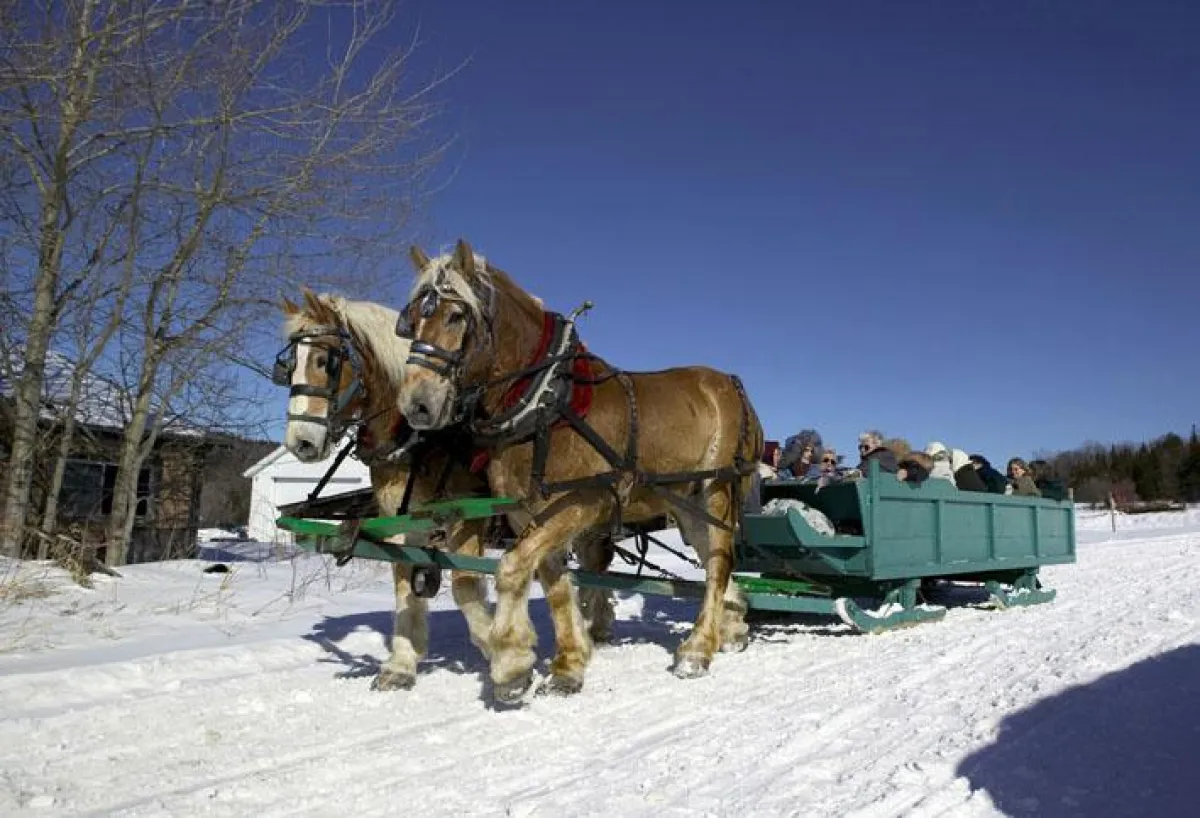 Romantische Fahrt mit dem Pferdeschlitten (c) Vermont Department of Tourism and Marketing.jpg