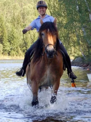 Bild: Reiturlaub für den schmalen Geldbeutel