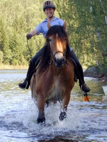 Bild: Reiturlaub für den schmalen Geldbeutel