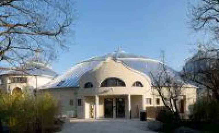 Bild: Licht und Luft für graue Riesen