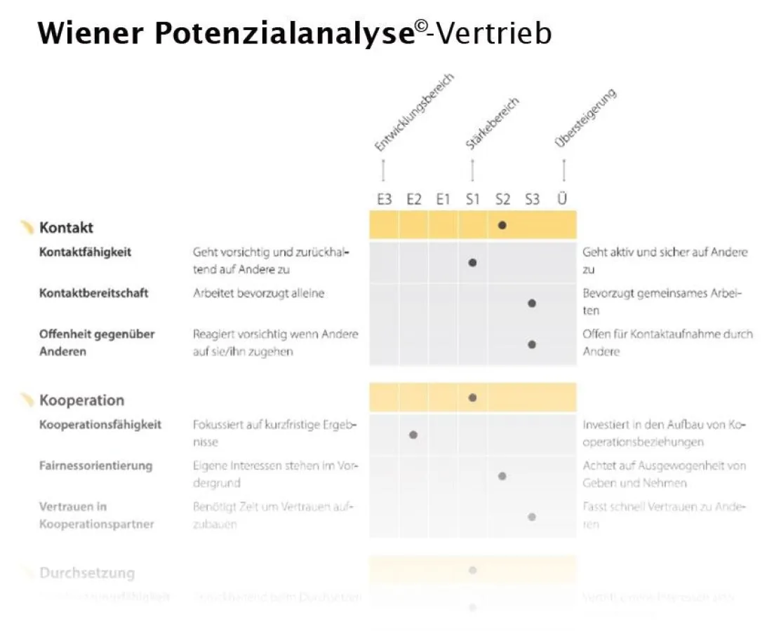Wiener Potenzialanalyse - Managementberatung Müllerschön, Vertriebsberatung Peter Schreiber & Partne