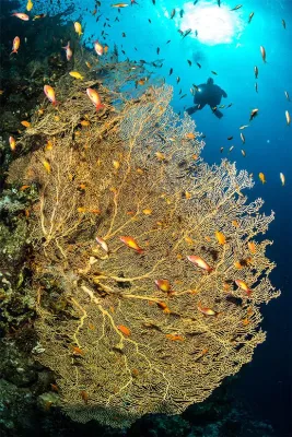 Aktionswoche: Aquanautic Elba auf Tour nach Dahab Bild: Aktionswoche: Aquanautic Elba auf Tour nach Dahab