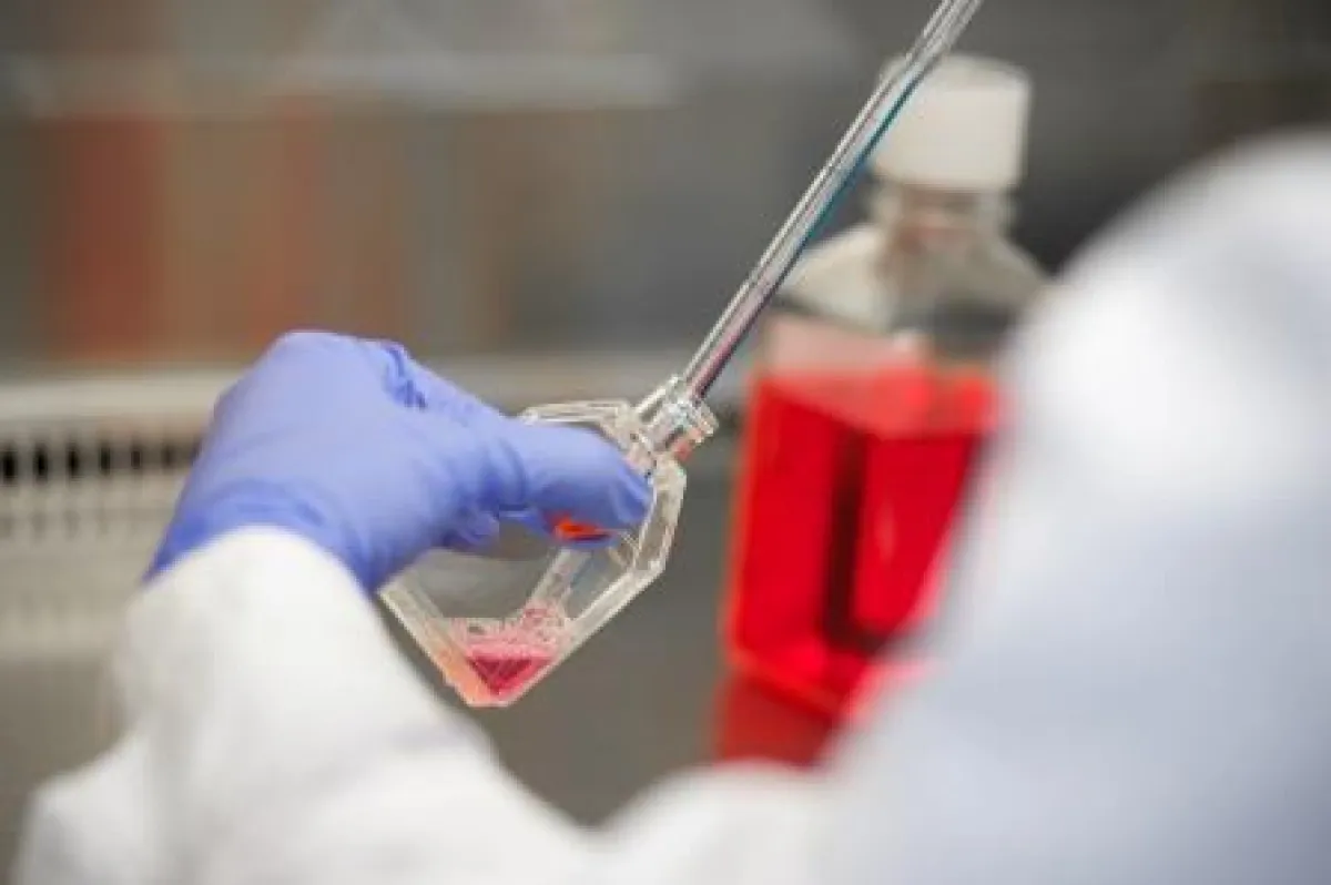 Trenzyme bietet Hightech vom Bodensee: modifizierte Zelllinien für die Entwicklung biotechnologisch
