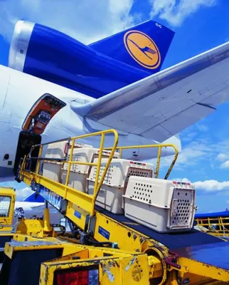 Bild: Lufthansa Cargo nutzt die ICS-Lösung von DAKOSY zur EU-Vorabanmeldung