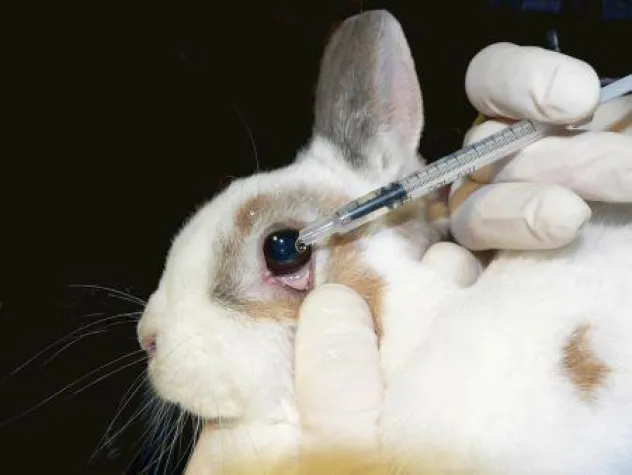 Bild: EU-Parlament für weltweites Verbot von Kosmetik-Tierversuchen