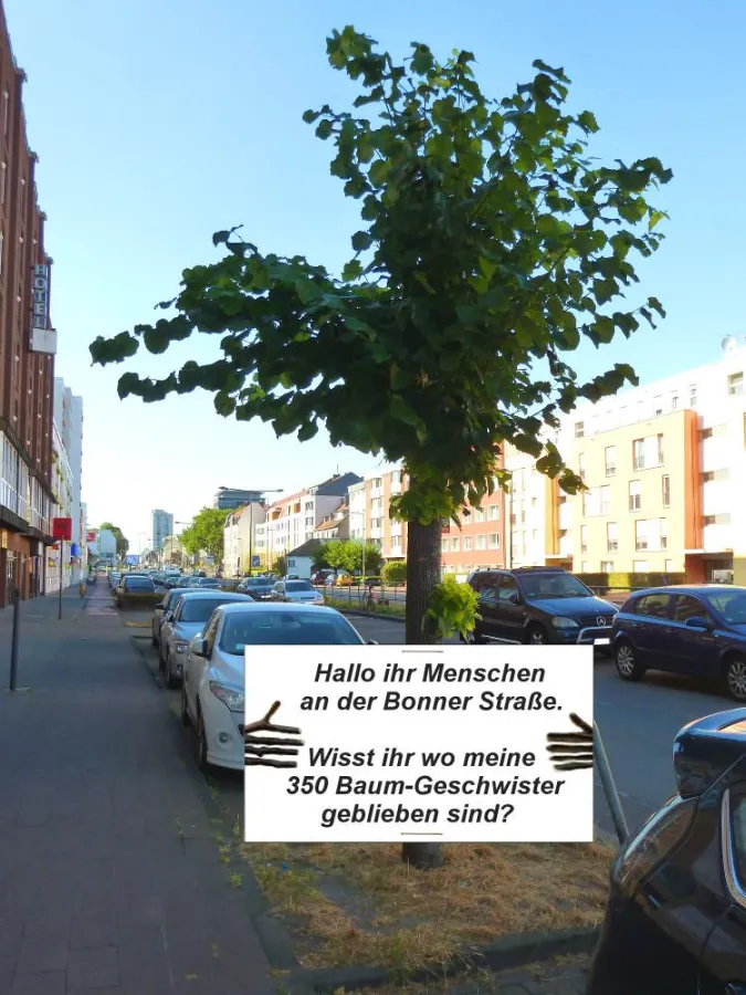 Der letzte Baum hat eine Frage. Foto: A. Wulf