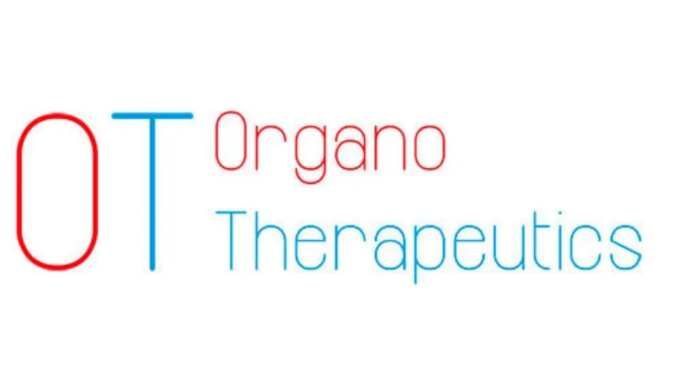 Bild: Jens Schwamborn: Mini-Gehirne als Alternative zu Tierversuchen