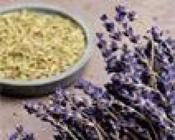 Per Mausklick die richtige Heilpflanze finden Bild: Per Mausklick die richtige Heilpflanze finden