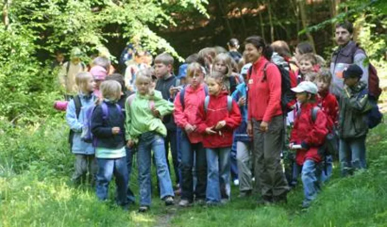 Bild: Rotwildwoche in der Dübener heide mit spannenden Exkursionen