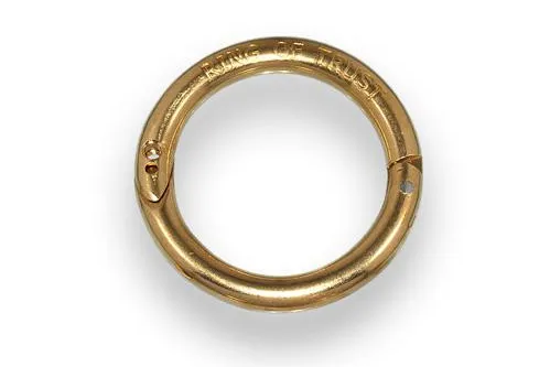 Ring of Trust Bild: Ring of Trust