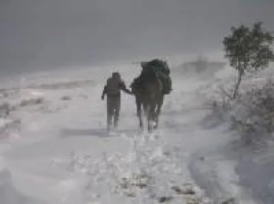 Bild: Mit Pferd, Hund und Katz - 9000 km von Portugal in die Türkei